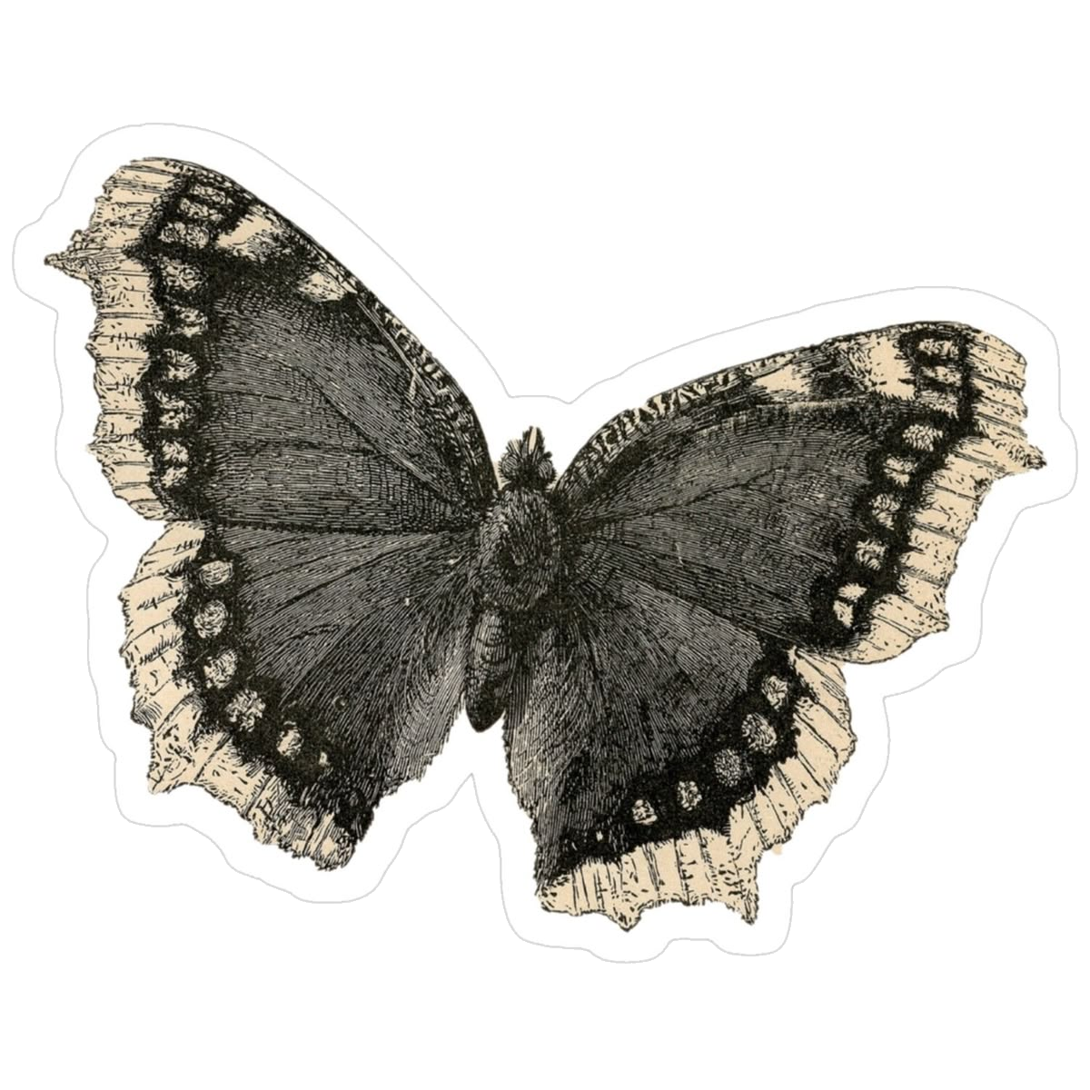 Butterfly Sticker Transparent